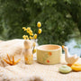 Ostheimer x Grapat Hello Summer | | Grapat | Little Acorn to Mighty Oaks