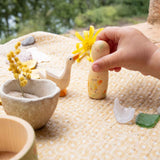Ostheimer x Grapat Hello Summer | | Grapat | Little Acorn to Mighty Oaks