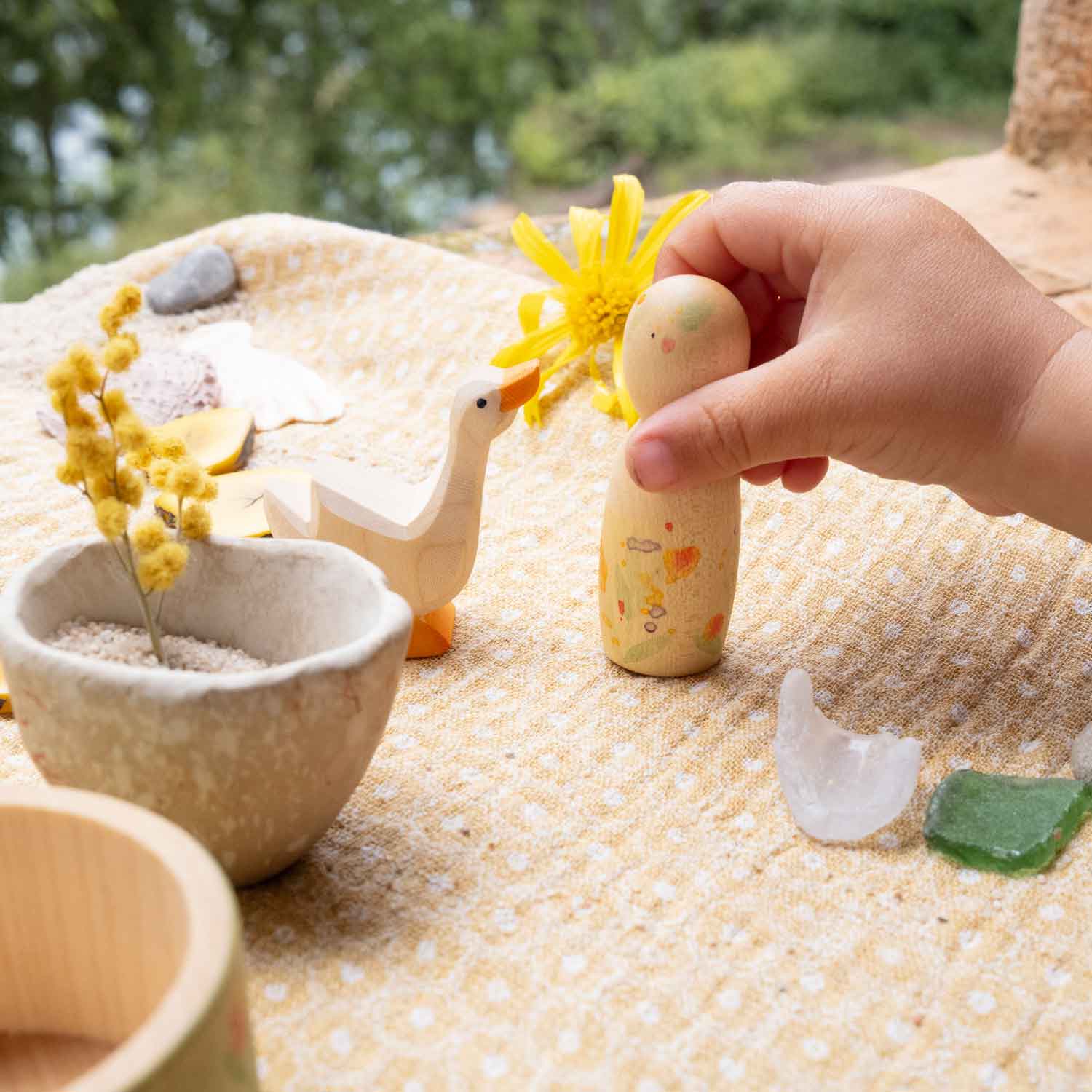 Ostheimer x Grapat Hello Summer | | Grapat | Little Acorn to Mighty Oaks