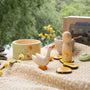 Ostheimer x Grapat Hello Summer | | Grapat | Little Acorn to Mighty Oaks