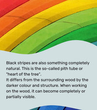 Grimm’s 12 Piece Rainbow | | Grimm's Spiel and Holz | Little Acorn to Mighty Oaks