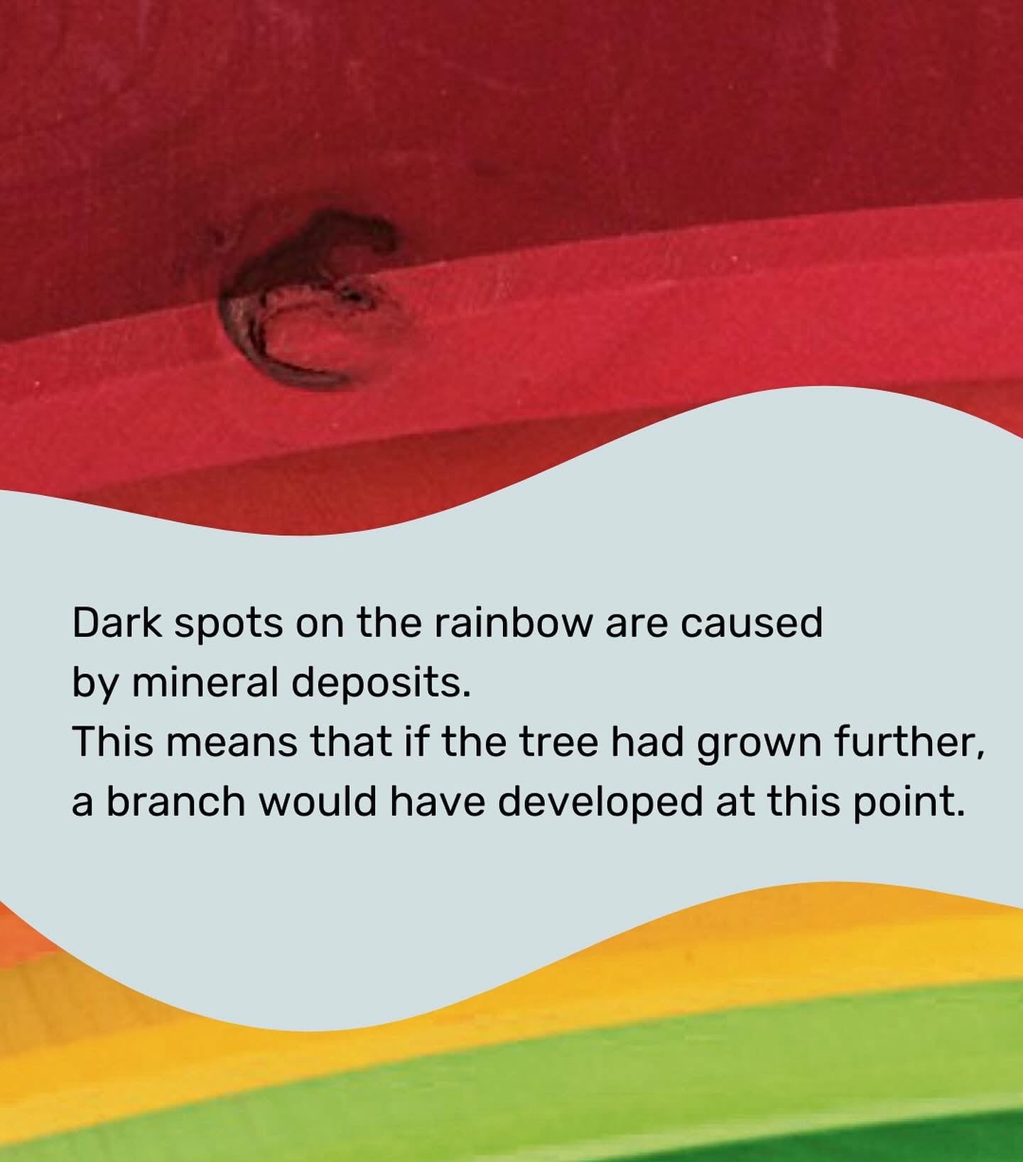 Grimm’s 12 Piece Rainbow | | Grimm's Spiel and Holz | Little Acorn to Mighty Oaks