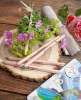Stockmar Stockmar coloured Pencils Triangular Assortment 12+1