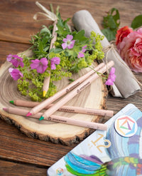 Stockmar Stockmar coloured Pencils Triangular Assortment 12+1