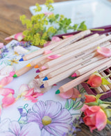 Stockmar Stockmar coloured Pencils Triangular Assortment 12+1