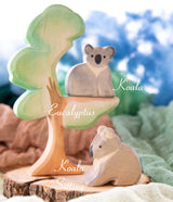 Ostheimer Eucalyptus | | Ostheimer | Little Acorn to Mighty Oaks