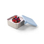 PlanetBox Big Square Dipper 12.3oz - Cloudy Day | | PlanetBox | Little Acorn to Mighty Oaks