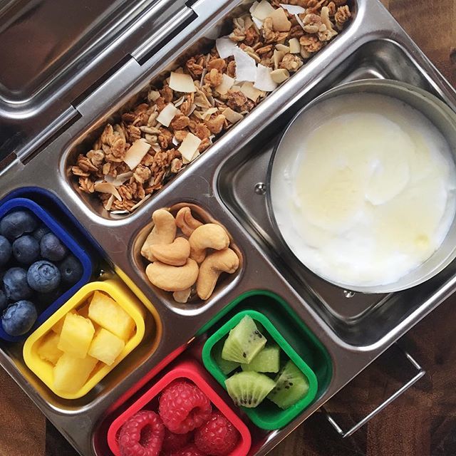 PlanetBox Stainless Steel Rover LunchBox | | PlanetBox | Little Acorn to Mighty Oaks
