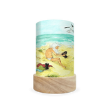 Toverlux Lantern Shades - Eentje van Margo George the Gnome - Pack of 5 | Toy | Toverlux | Little Acorn to Mighty Oaks