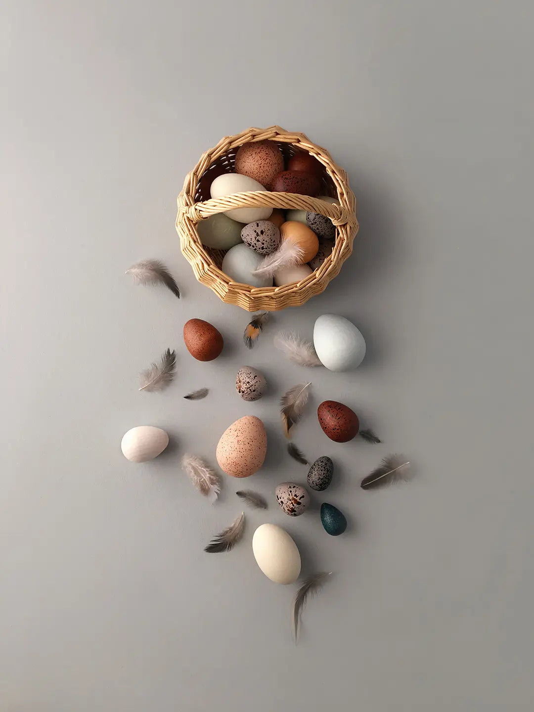 Moon Picnic - A Dozen Bird Eggs in a Basket | | Moon Picnic | Little Acorn to Mighty Oaks