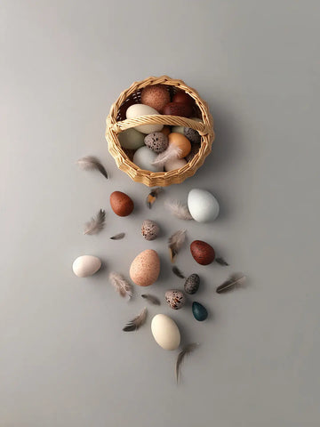 Moon Picnic - A Dozen Bird Eggs in a Basket