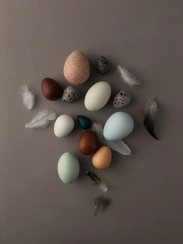 Moon Picnic - A Dozen Bird Eggs in a box