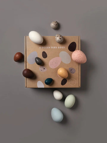 Moon Picnic - A Dozen Bird Eggs in a box