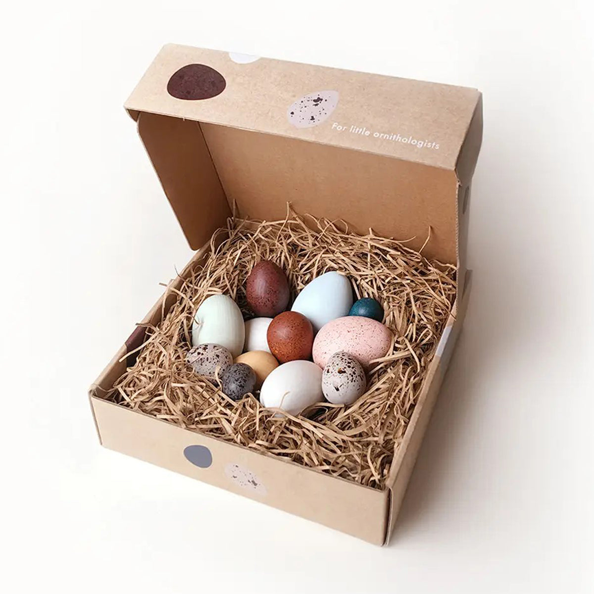 Moon Picnic - A Dozen Bird Eggs in a box | | Moon Picnic | Little Acorn to Mighty Oaks