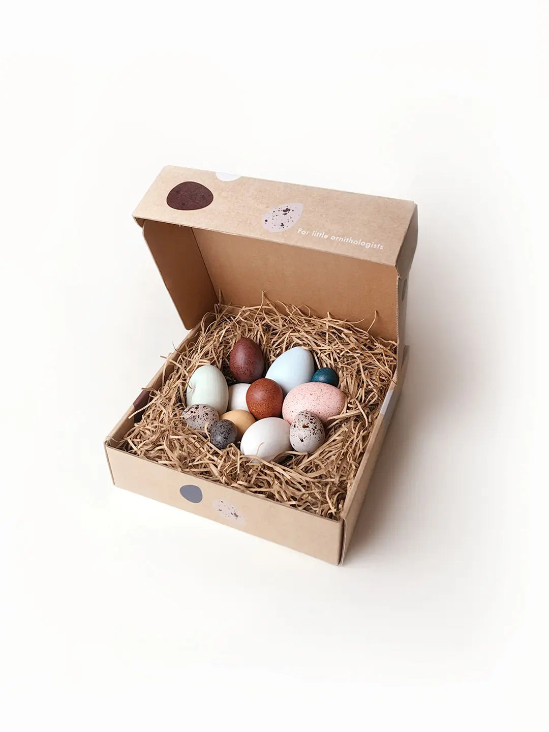 Moon Picnic - A Dozen Bird Eggs in a box | | Moon Picnic | Little Acorn to Mighty Oaks