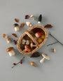 Moon Picnic - Forest Mushrooms Basket | | Moon Picnic | Little Acorn to Mighty Oaks