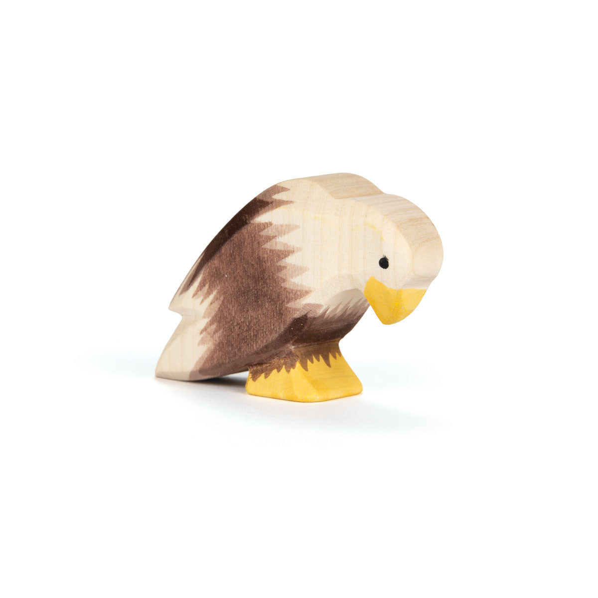 Ostheimer Bald Eagle Sitting | | Ostheimer | Little Acorn to Mighty Oaks