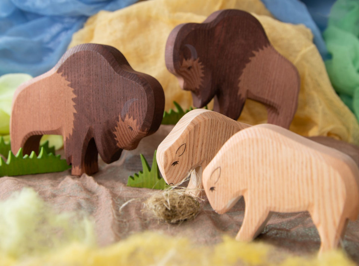 Ostheimer Bison | | Ostheimer | Little Acorn to Mighty Oaks