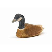 Ostheimer Canada Goose Swimming | | Ostheimer | Little Acorn to Mighty Oaks