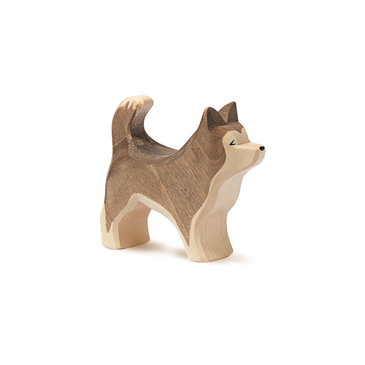 Ostheimer Sled Dog Standing | | Ostheimer | Little Acorn to Mighty Oaks