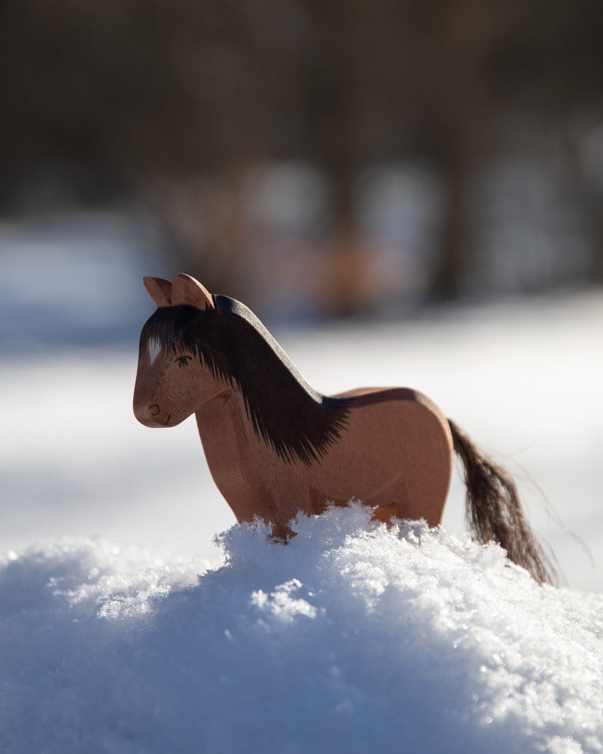 Ostheimer Iceland Horse Hrókur | | Ostheimer | Little Acorn to Mighty Oaks