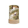 Toverlux Lantern Shades - Robin Pieterse Seasonal Stroll - Pack of 5 | Toy | Toverlux | Little Acorn to Mighty Oaks