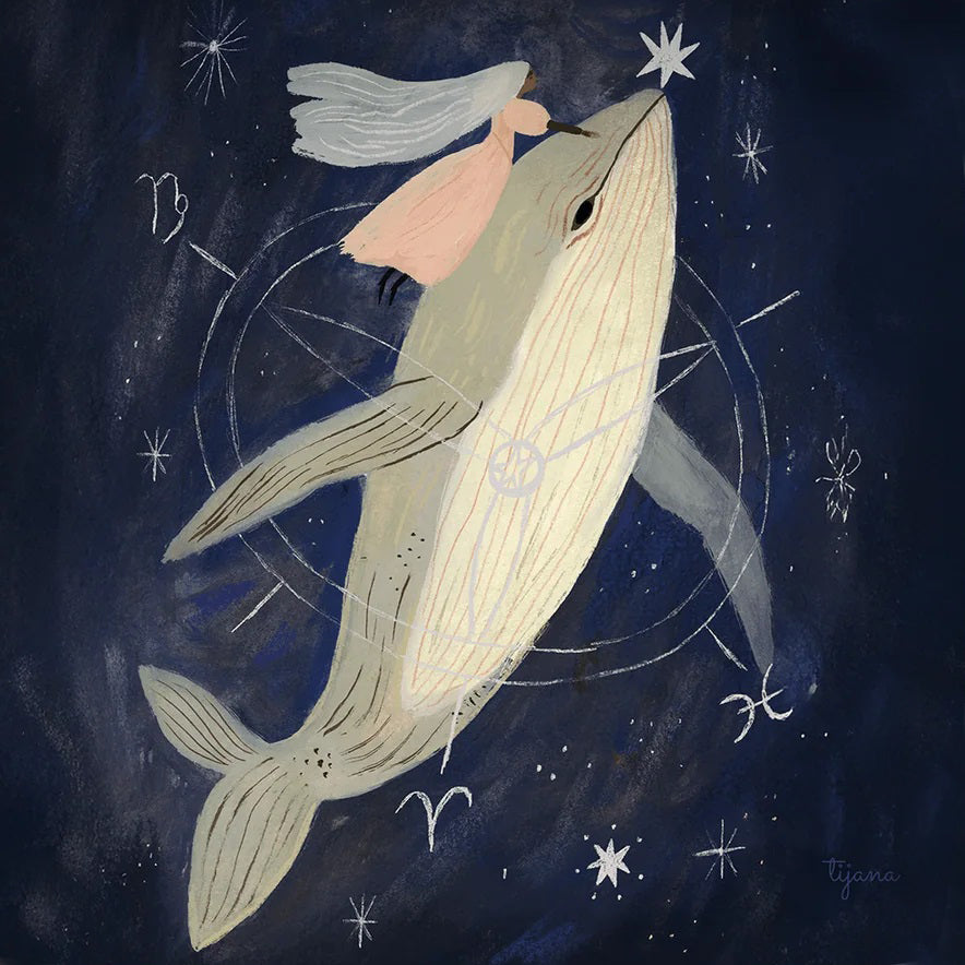 Tijana Draws - Whale Toverlux Silhouette | Toy | Toverlux | Little Acorn to Mighty Oaks