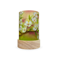 Toverlux Lantern Shades - Baukje Exler Seasons - Pack of 5 | Toy | Toverlux | Little Acorn to Mighty Oaks
