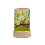 Toverlux Lantern Shades - Baukje Exler Seasons - Pack of 5 | Toy | Toverlux | Little Acorn to Mighty Oaks
