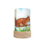 Toverlux Lantern Shades - Eentje van Margo Animals- Pack of 5 | Toy | Toverlux | Little Acorn to Mighty Oaks
