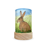 Toverlux Lantern Shades - Eentje van Margo Animals- Pack of 5 | Toy | Toverlux | Little Acorn to Mighty Oaks