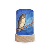 Toverlux Lantern Shades - Eentje van Margo Animals- Pack of 5 | Toy | Toverlux | Little Acorn to Mighty Oaks