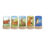 Toverlux Lantern Shades - Eentje van Margo Animals- Pack of 5 | Toy | Toverlux | Little Acorn to Mighty Oaks
