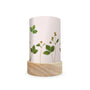 Toverlux Shades Beth Kendall - Pressed Garden Blooms - Pack of 5 | Toy | Toverlux | Little Acorn to Mighty Oaks