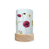 Toverlux Shades Beth Kendall - Pressed Garden Blooms - Pack of 5 | Toy | Toverlux | Little Acorn to Mighty Oaks