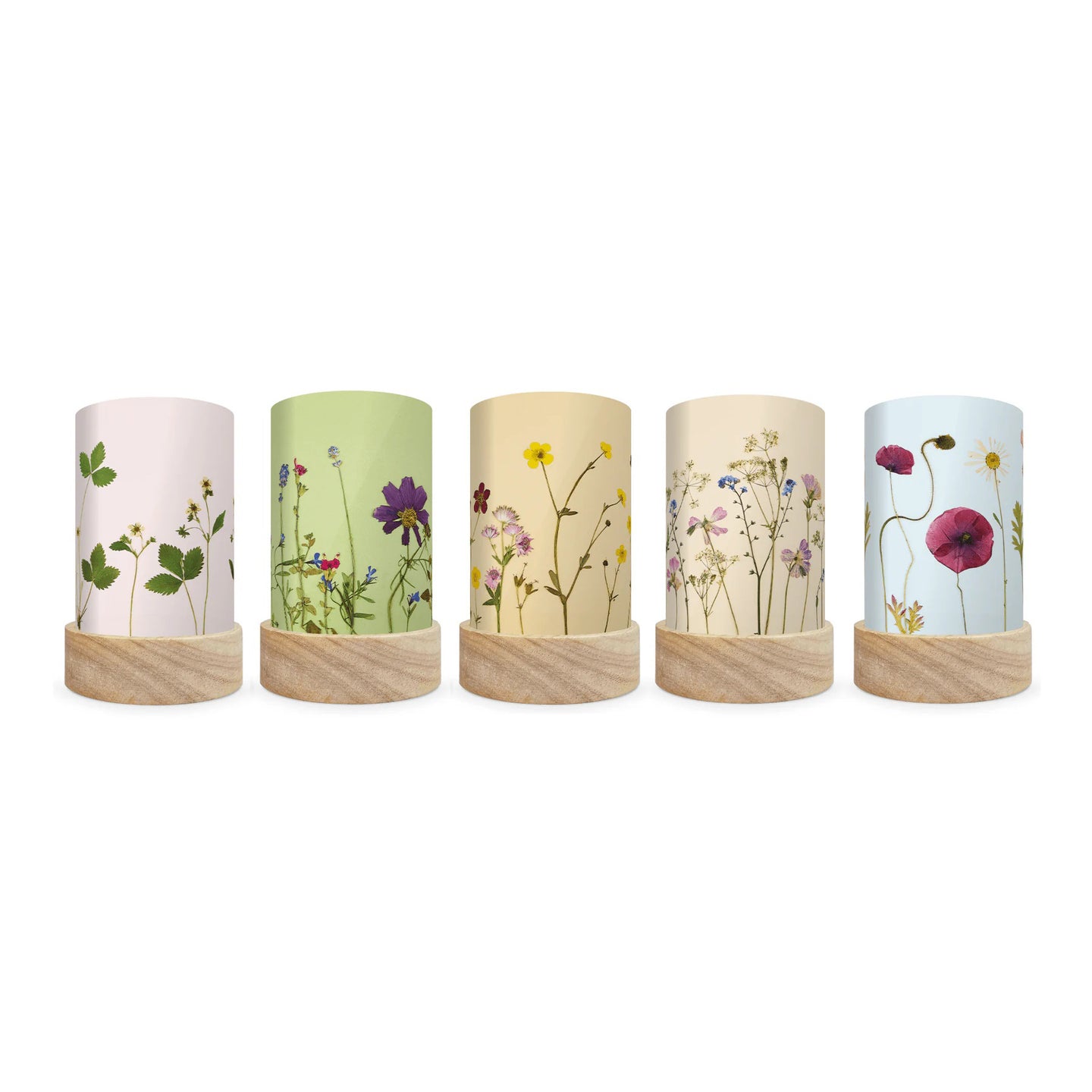 Toverlux Shades Beth Kendall - Pressed Garden Blooms - Pack of 5 | Toy | Toverlux | Little Acorn to Mighty Oaks