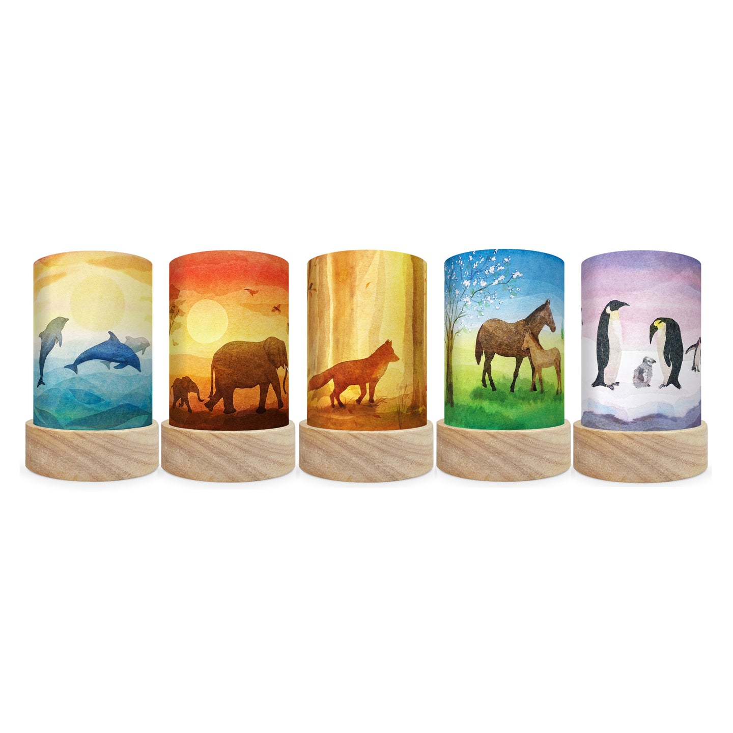 Toverlux Lantern Shades – Vogel Geluk Fauna – Pack of 5 | Toy | Toverlux | Little Acorn to Mighty Oaks