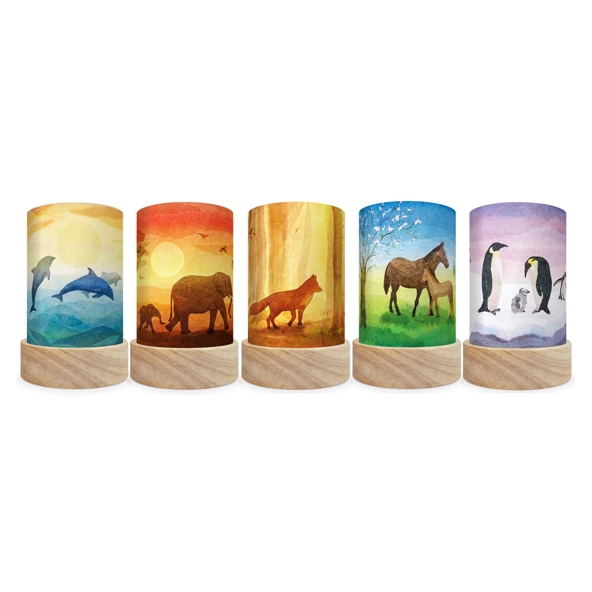 Toverlux Lantern Shades – Vogel Geluk Fauna – Pack of 5 | Toy | Toverlux | Little Acorn to Mighty Oaks