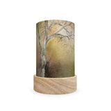 Toverlux Lantern Shades - Baukje Exler Nature Tales - Pack of 5 | Toy | Toverlux | Little Acorn to Mighty Oaks