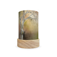 Toverlux Lantern Shades - Baukje Exler Nature Tales - Pack of 5 | Toy | Toverlux | Little Acorn to Mighty Oaks