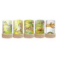 Toverlux Lantern Shades – Mhairi Hellbrandt Gnome Tales – Pack of 5 | Toy | Toverlux | Little Acorn to Mighty Oaks