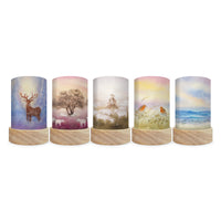 Toverlux Lantern Shades - Baukje Quiet Early Mornings - Pack of 5 | Toy | Toverlux | Little Acorn to Mighty Oaks