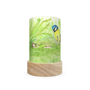 Toverlux Lantern Shades - Eentje van Margo Seasons - Pack of 5 | Toy | Toverlux | Little Acorn to Mighty Oaks