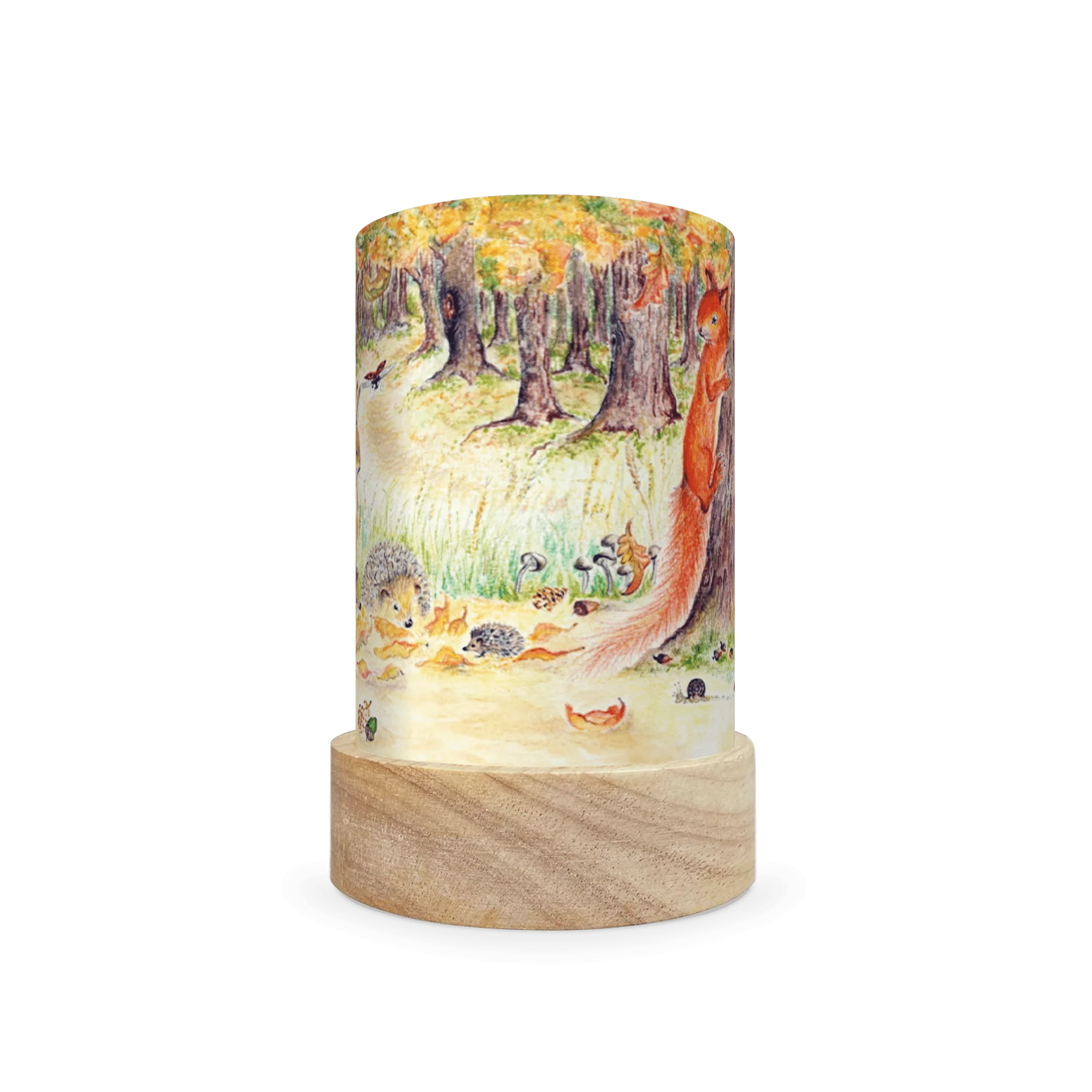 Toverlux Lantern Shades - Eentje van Margo Seasons - Pack of 5 | Toy | Toverlux | Little Acorn to Mighty Oaks