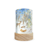 Toverlux Lantern Shades - Eentje van Margo Seasons - Pack of 5 | Toy | Toverlux | Little Acorn to Mighty Oaks