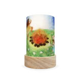 Toverlux Lantern Shades - Het Wol Feetje Holidays- Pack of 5 | Toy | Toverlux | Little Acorn to Mighty Oaks