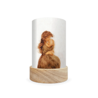 Toverlux Lantern Shades - Het Wol Feetje Celebrations - Pack of 5 | Toy | Toverlux | Little Acorn to Mighty Oaks