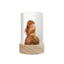Toverlux Lantern Shades - Het Wol Feetje Celebrations - Pack of 5 | Toy | Toverlux | Little Acorn to Mighty Oaks
