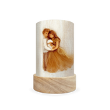 Toverlux Lantern Shades - Het Wol Feetje Celebrations - Pack of 5 | Toy | Toverlux | Little Acorn to Mighty Oaks