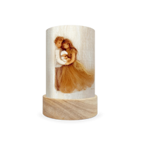 Toverlux Lantern Shades - Het Wol Feetje Celebrations - Pack of 5 | Toy | Toverlux | Little Acorn to Mighty Oaks
